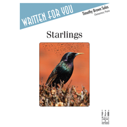 Starlings [NMFC]